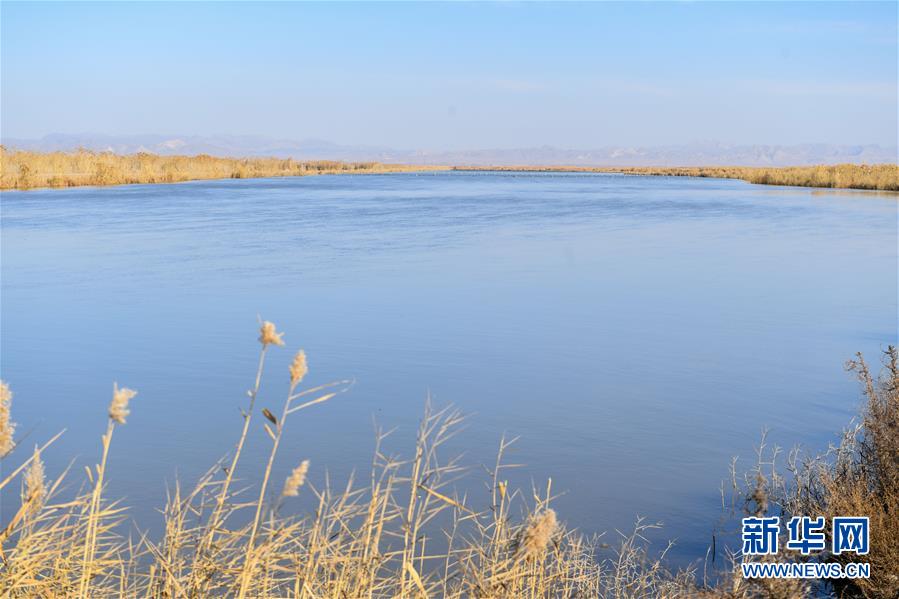 (在習近平新時代中國特色社會主義思想指引下——新時代新作為新篇章·圖文互動)(1)打響綠色品牌 “四控”治污增效——內(nèi)蒙古巴彥淖爾探索農(nóng)業(yè)高質(zhì)量發(fā)展