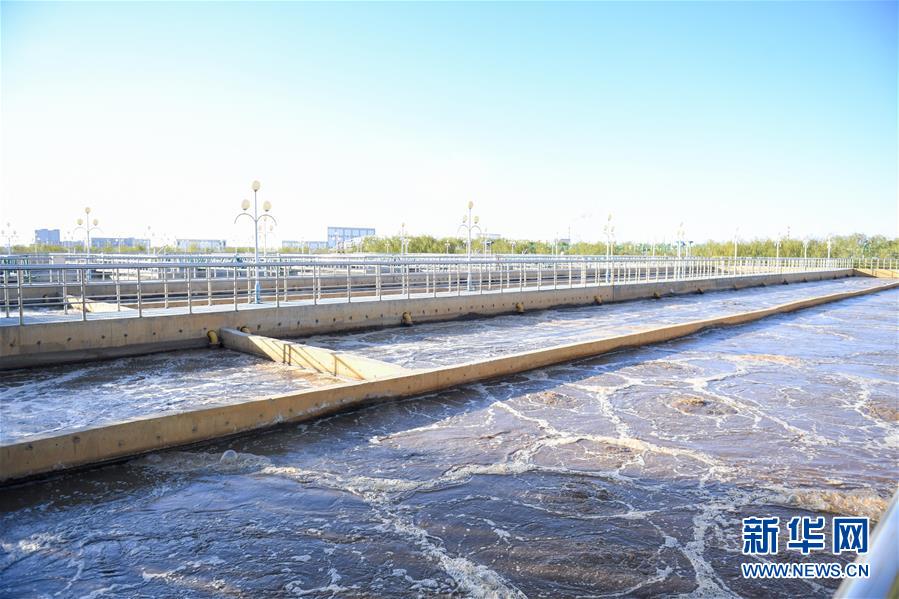 (在習近平新時代中國特色社會主義思想指引下——新時代新作為新篇章·圖文互動)(2)打響綠色品牌 “四控”治污增效——內(nèi)蒙古巴彥淖爾探索農(nóng)業(yè)高質(zhì)量發(fā)展