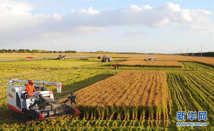 (在習(xí)近平新時(shí)代中國特色社會(huì)主義思想指引下——新時(shí)代新作為新篇章·鄉(xiāng)村振興戰(zhàn)略·圖文互動(dòng))(2)“十五連豐”譜新篇——端牢“中國飯碗”的龍江實(shí)踐