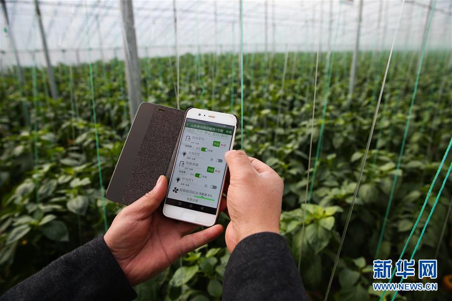 （新華全媒頭條&middot;圖文互動）（8）聚焦高質(zhì)量，躍上新臺階&mdash;&mdash;新年開局看中國經(jīng)濟(jì)信心和潛力