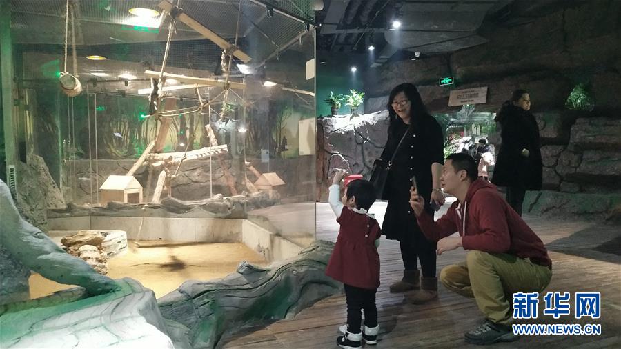 (新春走基層·圖文互動)(1)新疆“新年俗”:動物王國學(xué)知識 冰雪世界強(qiáng)身體