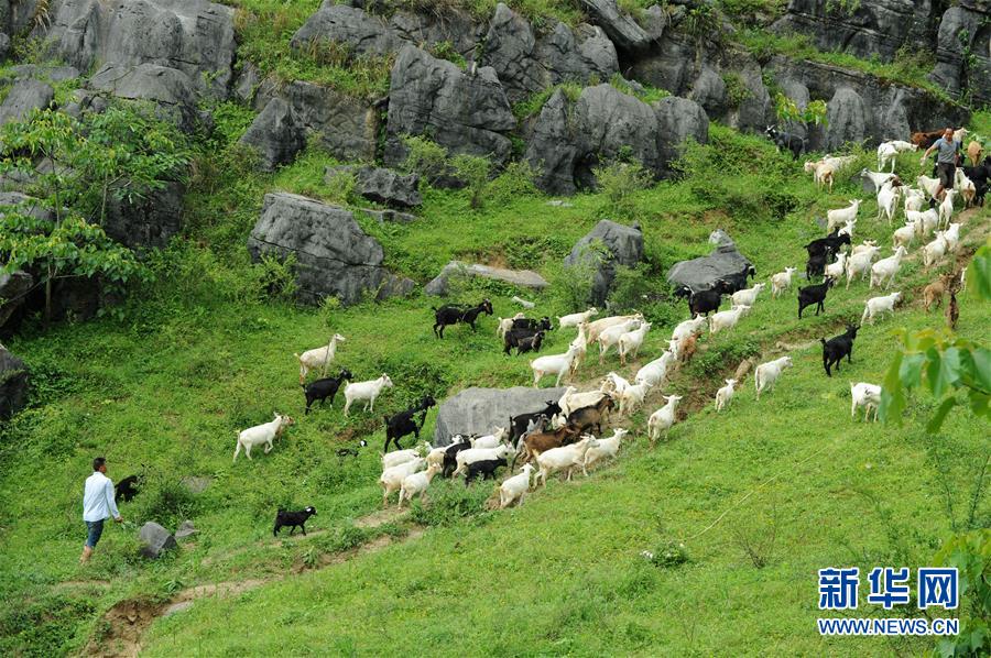 （兩會前夕看落實(shí)&middot;圖文互動）（2）決戰(zhàn)脫貧攻堅 奮力后發(fā)趕超&mdash;&mdash;貴州落實(shí)習(xí)近平總書記全國兩會重要講話精神紀(jì)實(shí)