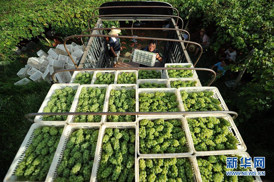 （兩會前夕看落實(shí)&middot;圖文互動）（7）決戰(zhàn)脫貧攻堅 奮力后發(fā)趕超&mdash;&mdash;貴州落實(shí)習(xí)近平總書記全國兩會重要講話精神紀(jì)實(shí)