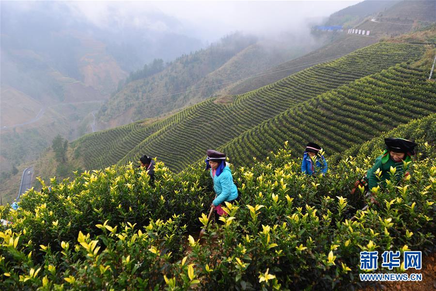 （兩會前夕看落實(shí)&middot;圖文互動）（8）決戰(zhàn)脫貧攻堅 奮力后發(fā)趕超&mdash;&mdash;貴州落實(shí)習(xí)近平總書記全國兩會重要講話精神紀(jì)實(shí)