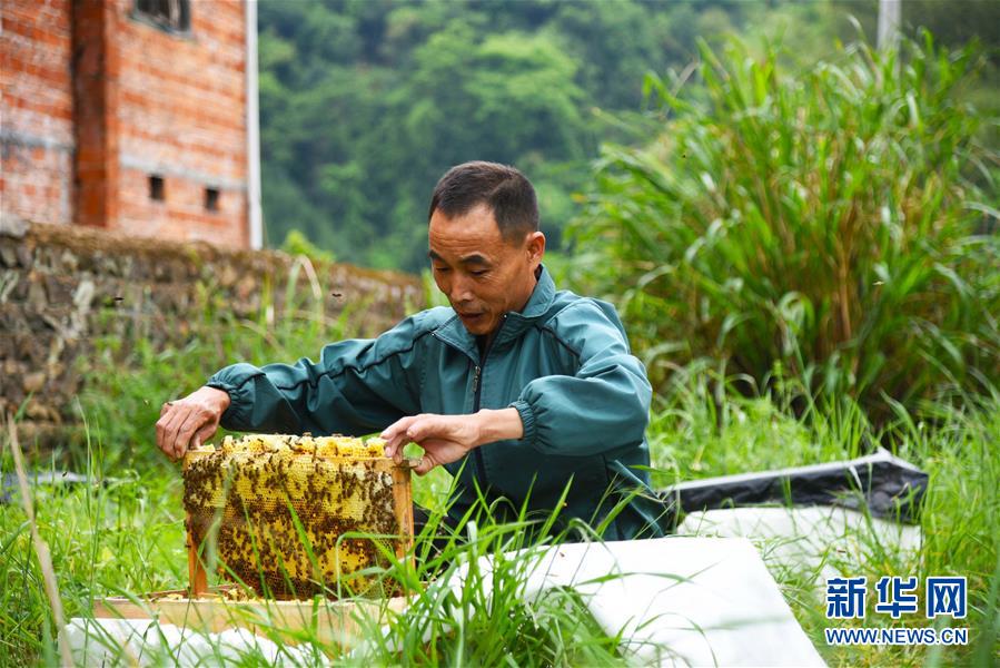 （兩會前夕看落實&middot;圖文互動）（7）奮力脫貧攻堅 生態(tài)追&ldquo;清&rdquo;逐&ldquo;綠&rdquo;&mdash;&mdash;江西落實習近平總書記全國兩會重要講話精神紀實