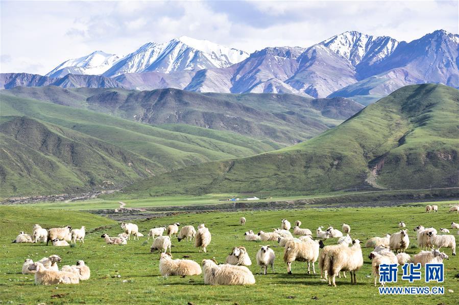 （兩會前夕看落實&middot;圖文互動）（1）以&ldquo;一優(yōu)兩高&rdquo;戰(zhàn)略描繪三江源壯美畫卷&mdash;&mdash;青海落實習近平總書記全國兩會重要講話精神紀實