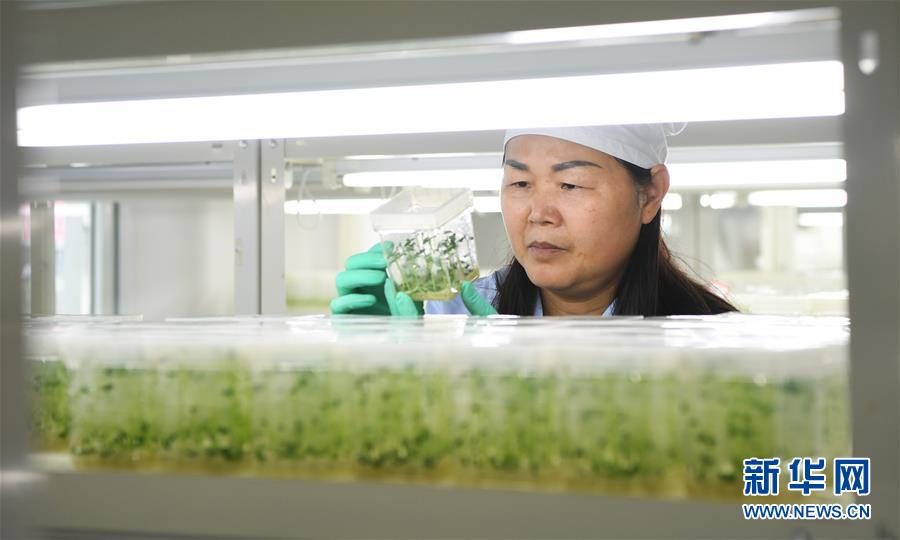 （兩會前夕看落實&middot;圖文互動）（5）春風(fēng)涌動兩江潮&mdash;&mdash;重慶落實習(xí)近平總書記全國兩會重要講話精神紀(jì)實