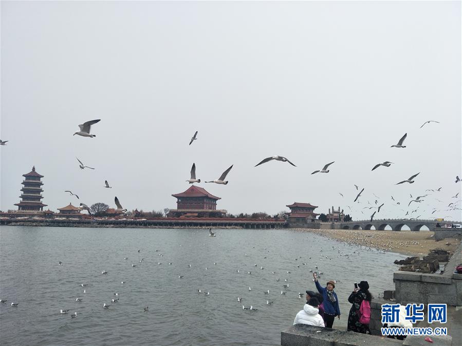 (新華全媒頭條·圖文互動(dòng))(6)滄海桑田一指間——6個(gè)村莊的70年巨變