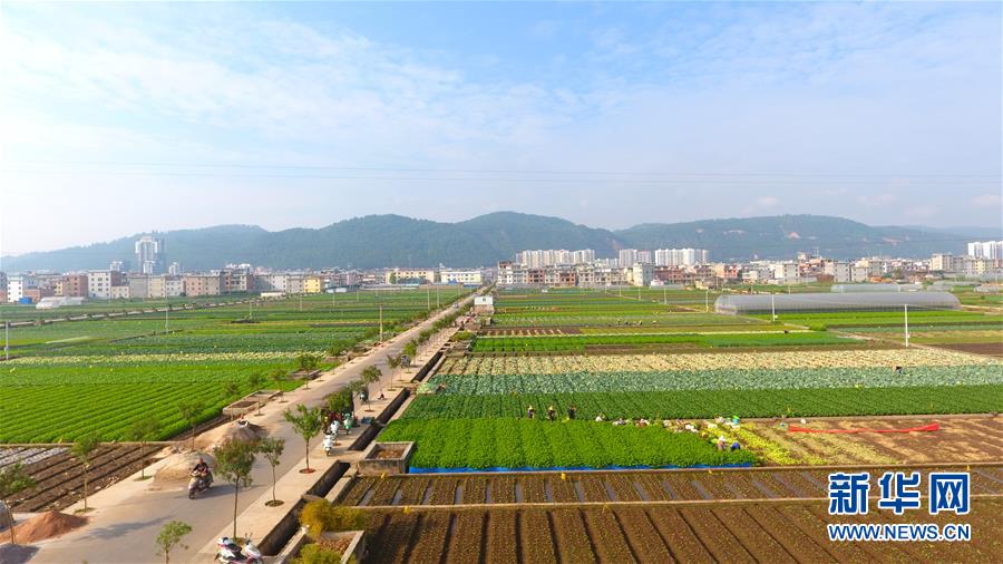 (新華全媒頭條·圖文互動(dòng))(7)滄海桑田一指間——6個(gè)村莊的70年巨變