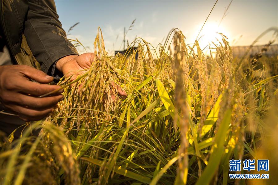 (新華全媒頭條·迎接兩會特別報道·圖文互動)(4)會當(dāng)水擊三千里——全國兩會前夕看中國信心