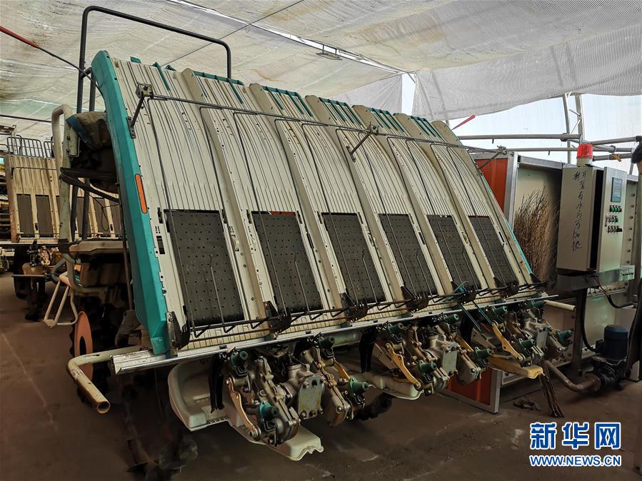 （在習(xí)近平新時代中國特色社會主義思想指引下&mdash;&mdash;新時代新作為新篇章&middot;圖文互動）（2）黑土地上感受&ldquo;中國飯碗&rdquo;新變化