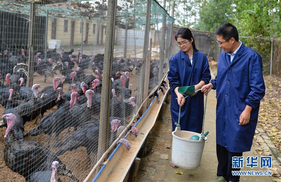 （新華全媒頭條&middot;兩會(huì)特別報(bào)道&middot;圖文互動(dòng)）（4）凝聚不懈奮斗的磅礴力量&mdash;&mdash;從全國(guó)兩會(huì)看奮進(jìn)中國(guó)的奮斗姿態(tài)