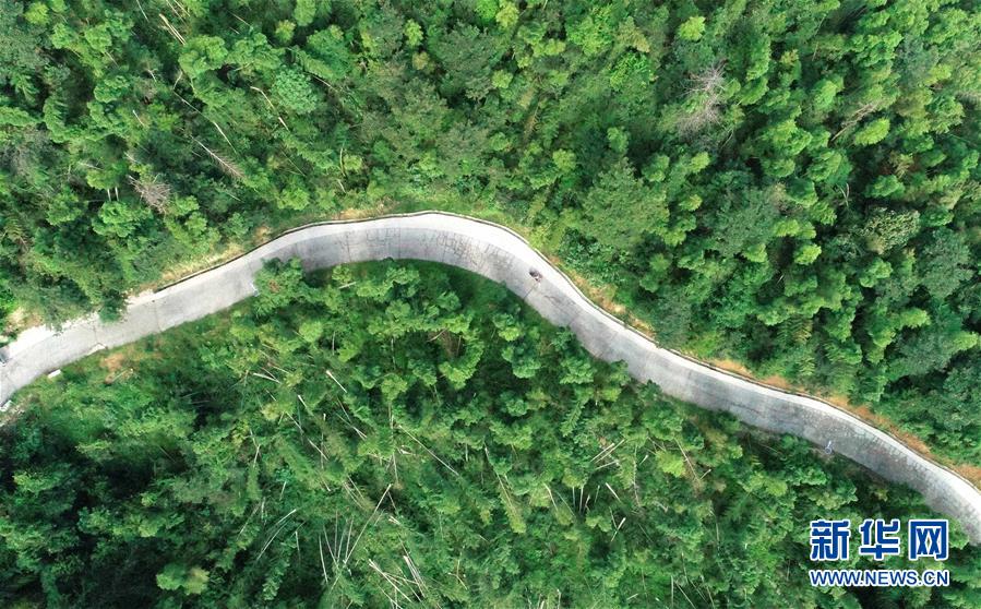 （中國(guó)網(wǎng)事&middot;感動(dòng)2019&middot;圖文互動(dòng)）（7）鄉(xiāng)村教師高自仁：60多根拐杖，撐起42年教學(xué)路