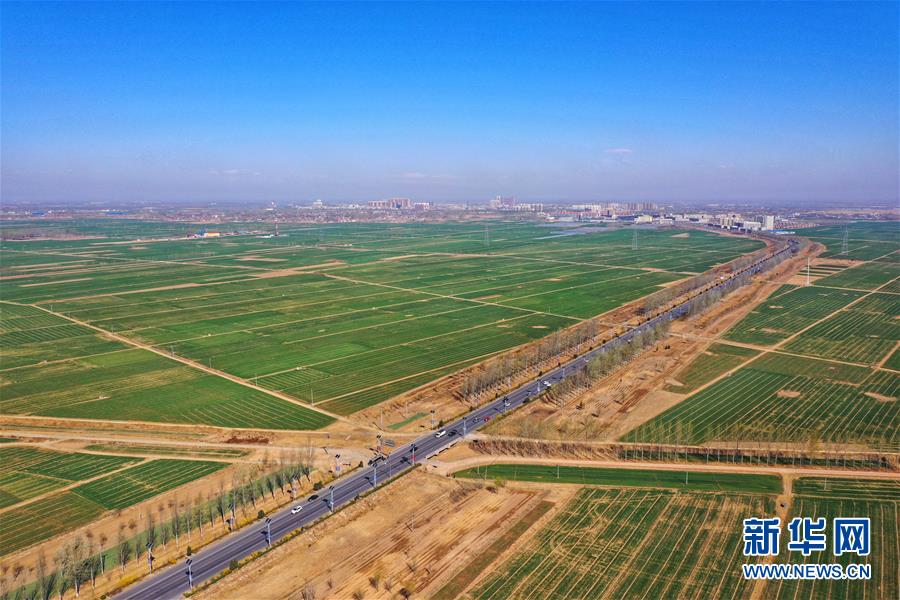 （新華全媒頭條&middot;圖文互動）（2）奮進(jìn)，向著未來之城！&mdash;&mdash;河北雄安新區(qū)建設(shè)發(fā)展兩周年紀(jì)實