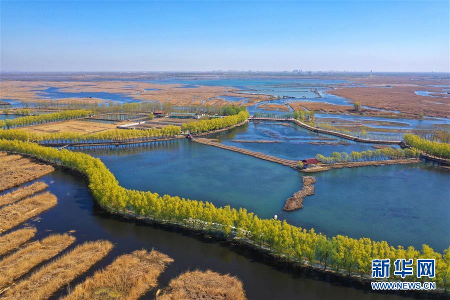 （新華全媒頭條&middot;圖文互動）（5）奮進(jìn)，向著未來之城！&mdash;&mdash;河北雄安新區(qū)建設(shè)發(fā)展兩周年紀(jì)實