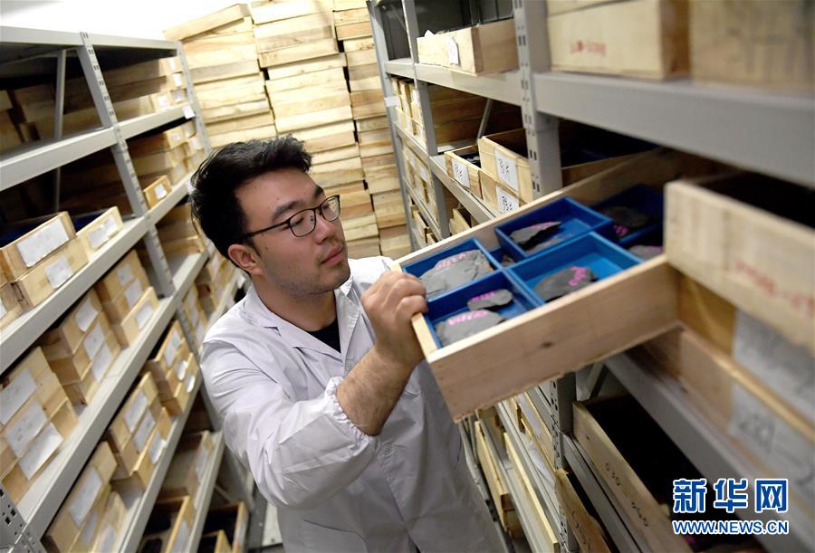 (新華全媒頭條·圖文互動)(4)探尋5億年前“生命大爆炸”之奧秘——中國科學(xué)家發(fā)現(xiàn)寒武紀“化石寶庫”清江生物群紀實