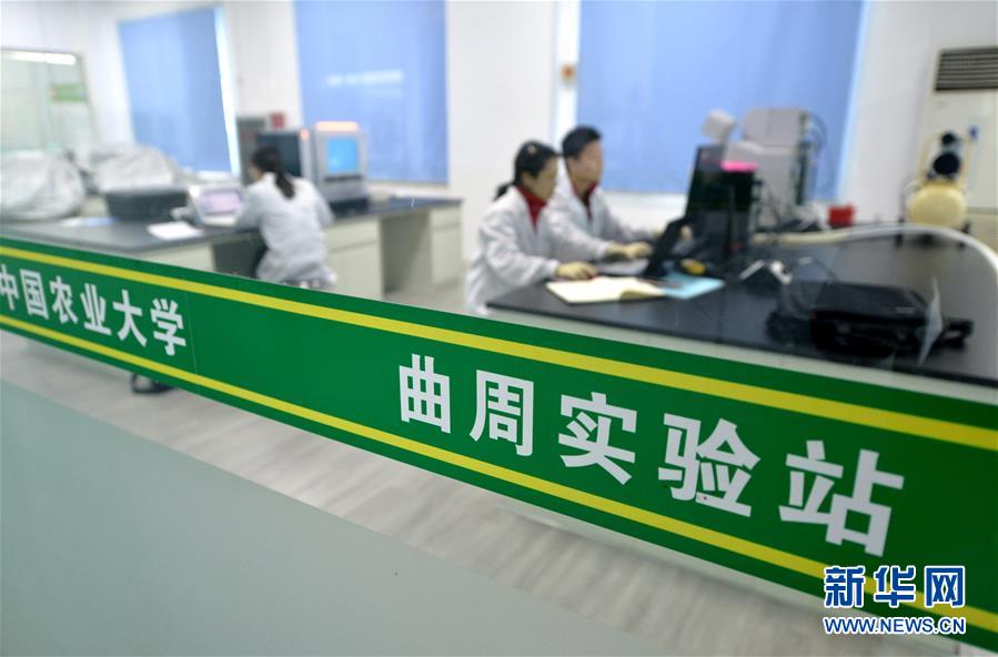 （愛(ài)國(guó)情 奮斗者&middot;圖文互動(dòng)）（3） &ldquo;解民生之多艱，育天下之英才&rdquo;&mdash;&mdash;中國(guó)農(nóng)大師生扎根田野書(shū)寫(xiě)奉獻(xiàn)之歌