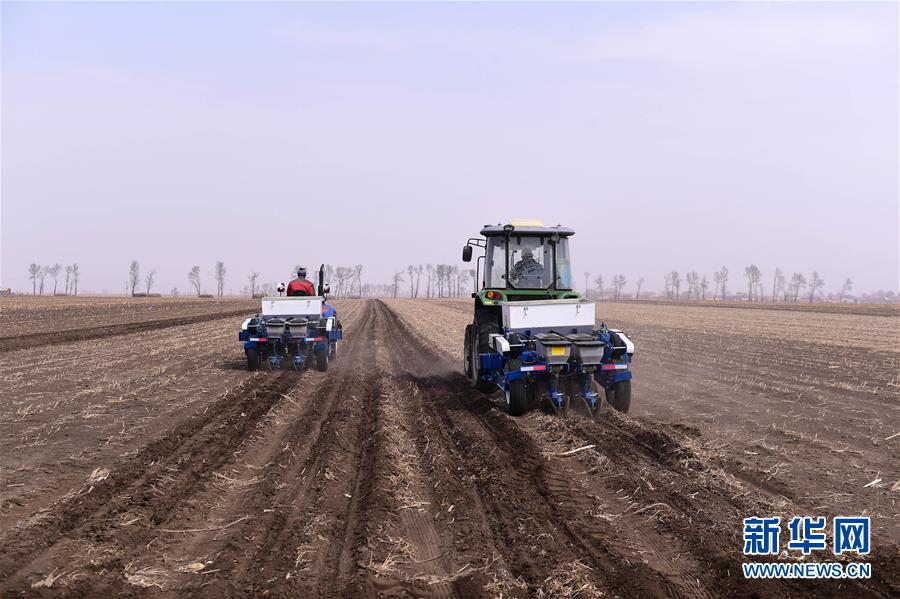 (壯麗70年·奮斗新時(shí)代·圖文互動(dòng))(2)吉林榆樹:從產(chǎn)糧大縣到農(nóng)業(yè)強(qiáng)縣的不懈探索
