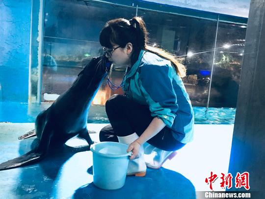 于雅麗與海獅親密瞬間?！“瑧c龍 攝