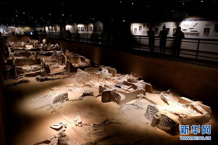 （新華全媒頭條&middot;圖文互動(dòng)）（4）&ldquo;若問(wèn)古今興廢事，請(qǐng)君只看洛陽(yáng)城&rdquo;&mdash;&mdash;千年古都&ldquo;烹制&rdquo;博物館盛宴