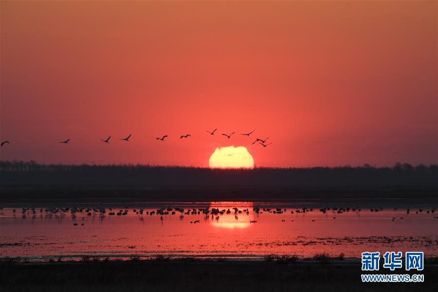 (北京世園會·圖文互動)(3)吉林分區(qū)域推進生態(tài)保護 讓綠色發(fā)展底氣更足