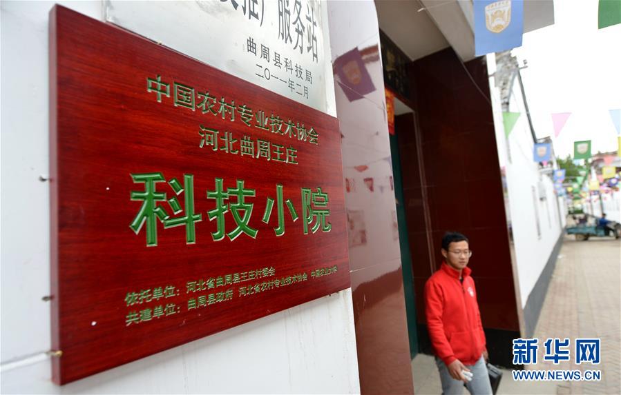 (新華全媒頭條·愛(ài)國(guó)情 奮斗者·圖文互動(dòng))(11)把論文寫(xiě)在祖國(guó)的大地上——中國(guó)農(nóng)業(yè)大學(xué)46年扎根河北曲周服務(wù)鄉(xiāng)村振興紀(jì)實(shí)