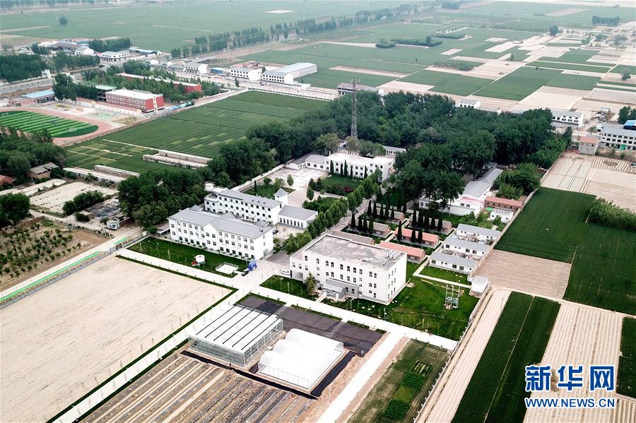 (新華全媒頭條·愛(ài)國(guó)情 奮斗者·圖文互動(dòng))(12)把論文寫(xiě)在祖國(guó)的大地上——中國(guó)農(nóng)業(yè)大學(xué)46年扎根河北曲周服務(wù)鄉(xiāng)村振興紀(jì)實(shí)
