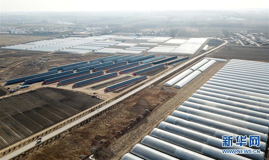 （在習(xí)近平新時(shí)代中國(guó)特色社會(huì)主義思想指引下&mdash;&mdash;新時(shí)代新作為新篇章&middot;圖文互動(dòng)）（3）&ldquo;無(wú)人作業(yè)&rdquo;來(lái)臨 綠色食品&ldquo;當(dāng)家&rdquo;&mdash;&mdash;黑龍江探索現(xiàn)代農(nóng)業(yè)發(fā)展路徑