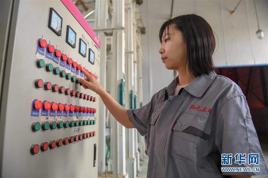 （在習(xí)近平新時(shí)代中國(guó)特色社會(huì)主義思想指引下&mdash;&mdash;新時(shí)代新作為新篇章&middot;圖文互動(dòng)）（5）大學(xué)生種田讓農(nóng)民&ldquo;老把式&rdquo;開(kāi)了眼&mdash;&mdash;吉林長(zhǎng)白山下的稻田新事