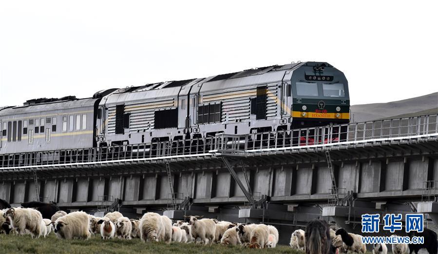 （新華全媒頭條&middot;壯麗70年&middot;奮斗新時(shí)代&middot;圖文互動(dòng)）（12）開拓雪域高原的夢(mèng)想之路&mdash;&mdash;來自青藏鐵路的蹲點(diǎn)報(bào)告