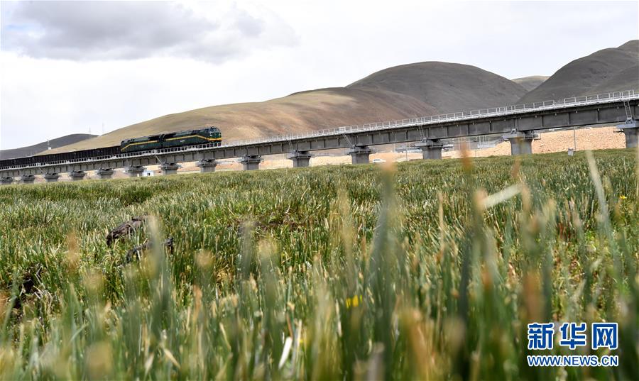 （新華全媒頭條&middot;壯麗70年&middot;奮斗新時(shí)代&middot;圖文互動(dòng)）（15）開拓雪域高原的夢(mèng)想之路&mdash;&mdash;來自青藏鐵路的蹲點(diǎn)報(bào)告