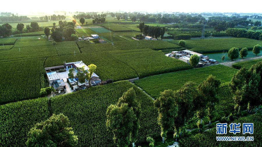 （權(quán)威訪談&middot;聚焦中國經(jīng)濟(jì)亮點&middot;圖文互動）（2）防治土地荒漠化 推動綠色發(fā)展&mdash;&mdash;專訪國家林業(yè)和草原局副局長劉東生