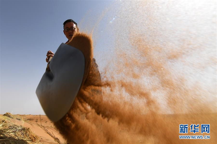 （權(quán)威訪談&middot;聚焦中國經(jīng)濟(jì)亮點&middot;圖文互動）（10）防治土地荒漠化 推動綠色發(fā)展&mdash;&mdash;專訪國家林業(yè)和草原局副局長劉東生