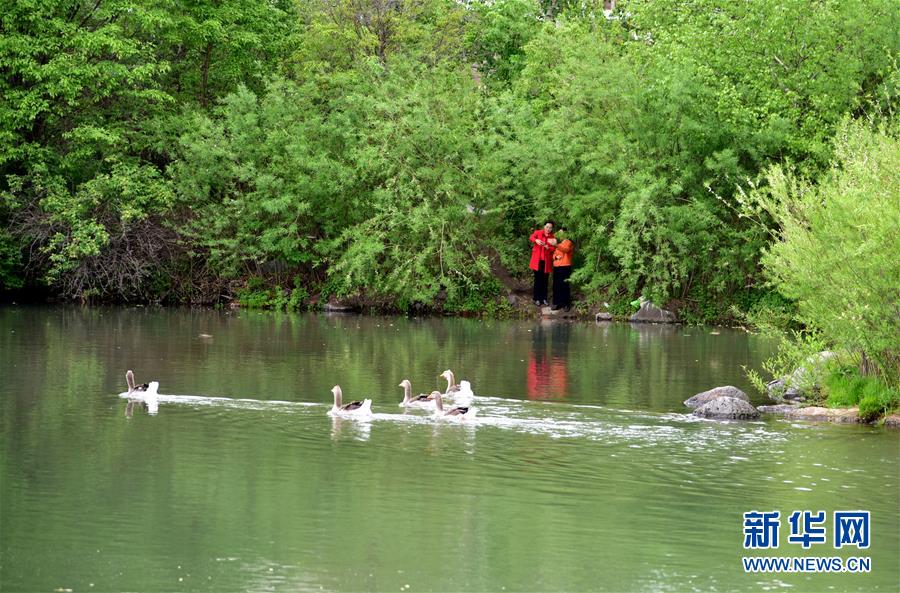 （在習近平新時代中國特色社會主義思想指引下&mdash;&mdash;新時代新作為新篇章&middot;圖文互動）（4）在這里，遇見&ldquo;詩和遠方&rdquo;&mdash;&mdash;長白山下&ldquo;第一鎮(zhèn)&rdquo;的全域旅游實踐
