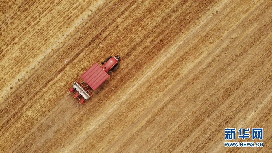 (新華全媒頭條·圖文互動(dòng))(7)一個(gè)傳統(tǒng)農(nóng)業(yè)縣的脫貧之路——來自河北新河的調(diào)查報(bào)告