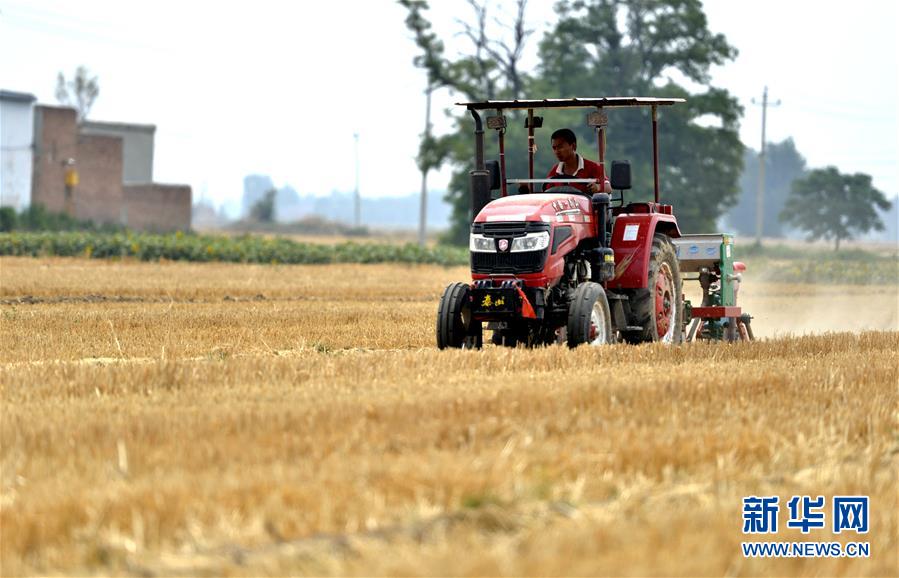 (新華全媒頭條·圖文互動(dòng))(8)一個(gè)傳統(tǒng)農(nóng)業(yè)縣的脫貧之路——來自河北新河的調(diào)查報(bào)告