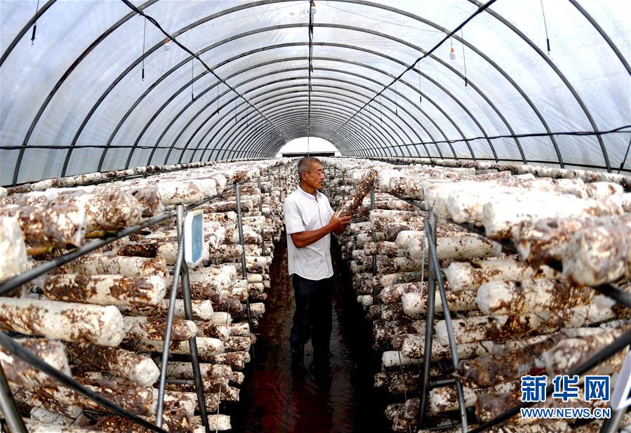 (新華全媒頭條·圖文互動(dòng))(10)一個(gè)傳統(tǒng)農(nóng)業(yè)縣的脫貧之路——來自河北新河的調(diào)查報(bào)告