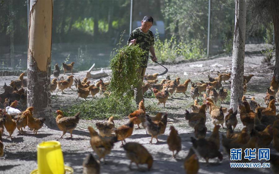 （新華全媒頭條&middot;圖文互動(dòng)）（6）同心援疆，&ldquo;壯闊&rdquo;祖國(guó)西北角