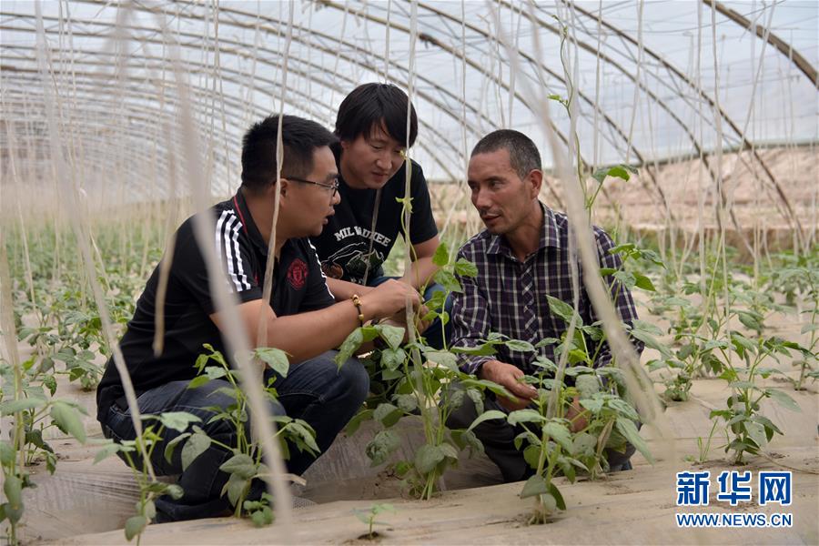 （新華全媒頭條&middot;圖文互動(dòng)）（10）同心援疆，&ldquo;壯闊&rdquo;祖國(guó)西北角