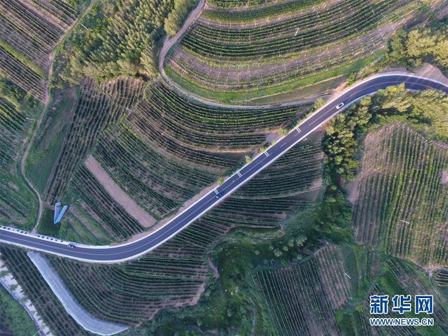 (新華全媒頭條·圖文互動)(5)心系北疆 情滿草原——習近平總書記考察內(nèi)蒙古回訪記