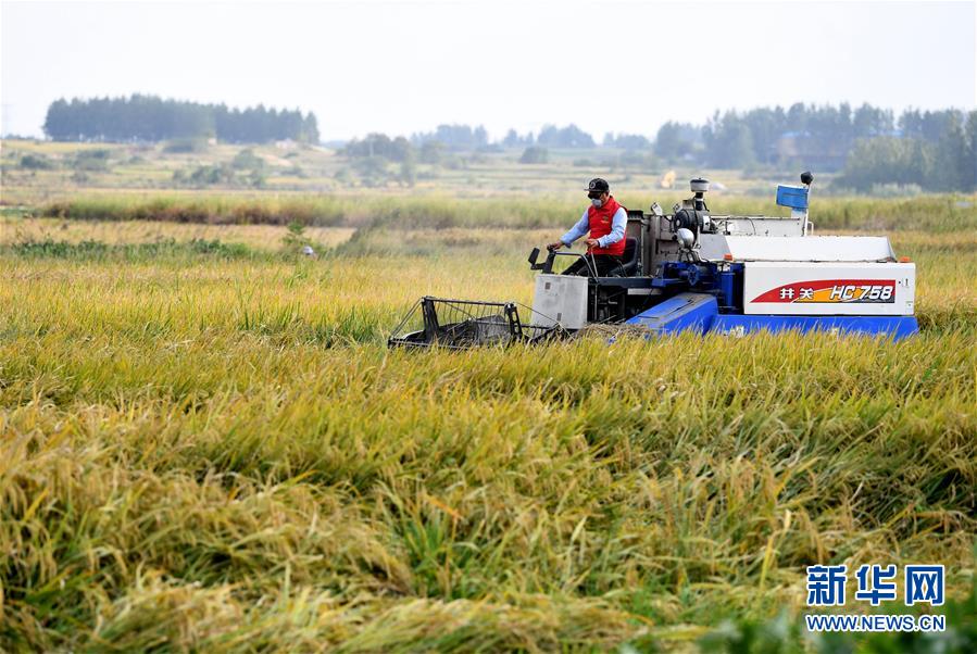(壯麗70年·奮斗新時(shí)代——共和國發(fā)展成就巡禮·圖文互動(dòng))(3)安徽70年:改革創(chuàng)新書寫時(shí)代答卷