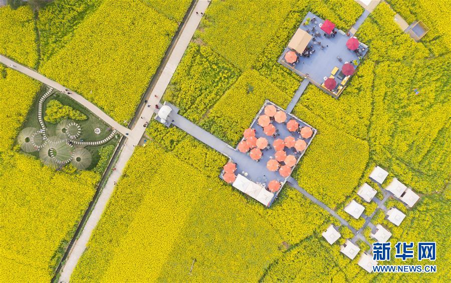 （壯麗70年&middot;奮斗新時(shí)代&mdash;&mdash;共和國發(fā)展成就巡禮&middot;圖文互動(dòng)）（13）治蜀往事激越 興川今朝豪邁&mdash;&mdash;新中國成立70年四川發(fā)展巡禮