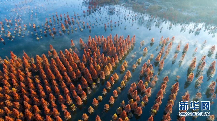 （壯麗70年&middot;奮斗新時代&mdash;&mdash;共和國發(fā)展成就巡禮）（4）云嶺彩卷繪 高原氣象新&mdash;&mdash;新中國成立70年云南發(fā)展巡禮