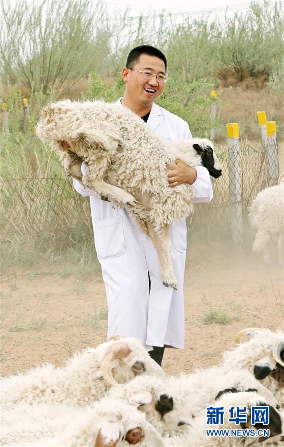 （壯麗70年&middot;奮斗新時代&mdash;&mdash;共和國發(fā)展成就巡禮&middot;圖文互動）（3）生態(tài)美、百姓富&mdash;&mdash;品讀嶄新&ldquo;寧夏畫卷&rdquo;