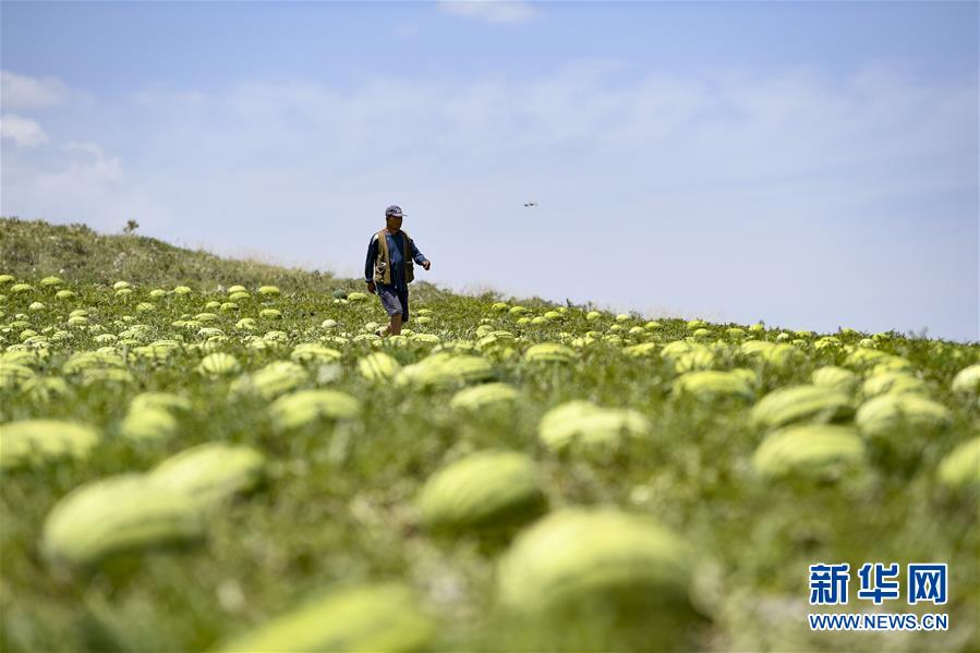 （壯麗70年&middot;奮斗新時代&mdash;&mdash;共和國發(fā)展成就巡禮&middot;圖文互動）（4）生態(tài)美、百姓富&mdash;&mdash;品讀嶄新&ldquo;寧夏畫卷&rdquo;