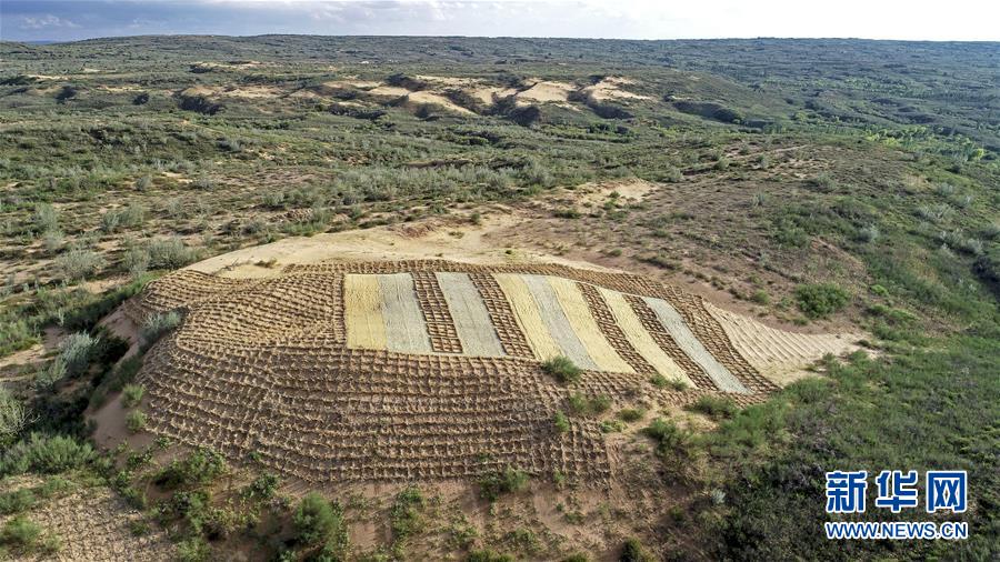 （壯麗70年&middot;奮斗新時代&mdash;&mdash;共和國發(fā)展成就巡禮&middot;圖文互動）（6）生態(tài)美、百姓富&mdash;&mdash;品讀嶄新&ldquo;寧夏畫卷&rdquo;