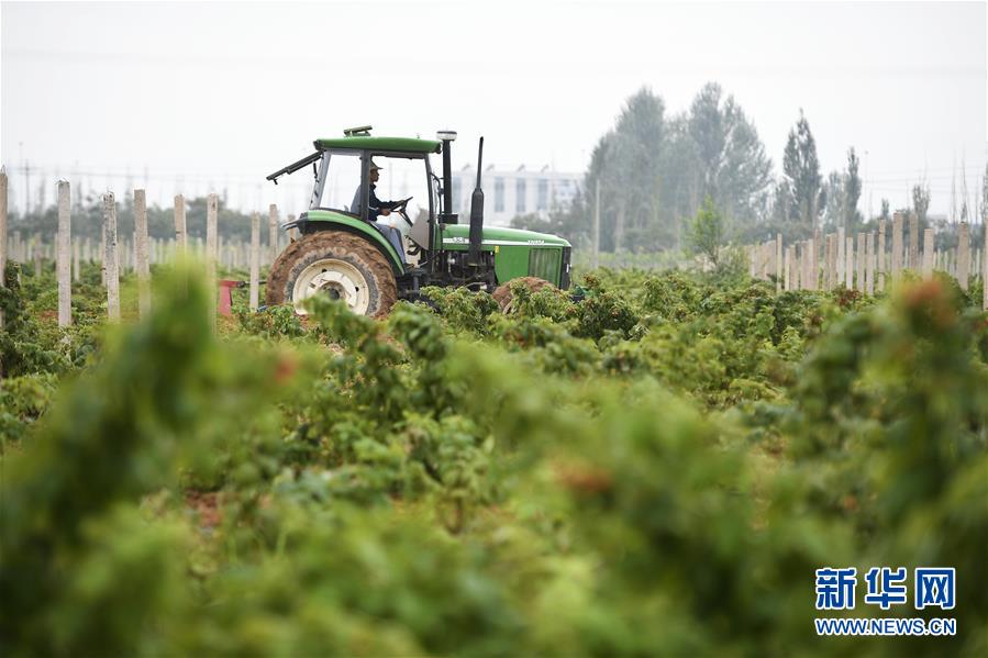 （壯麗70年&middot;奮斗新時代&mdash;&mdash;共和國發(fā)展成就巡禮&middot;圖文互動）（10）生態(tài)美、百姓富&mdash;&mdash;品讀嶄新&ldquo;寧夏畫卷&rdquo;