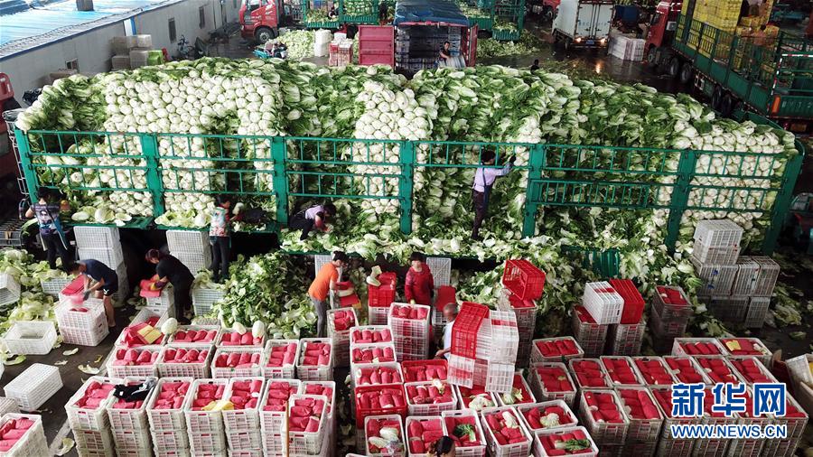 (壯麗70年·奮斗新時代——共和國發(fā)展成就巡禮)(5)看今朝齊風魯韻 七十載芳華正勁——新中國成立以來山東領(lǐng)先發(fā)展紀實