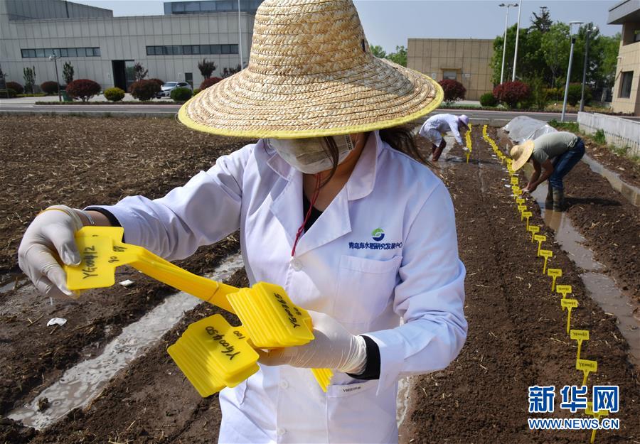 (壯麗70年·奮斗新時代——共和國發(fā)展成就巡禮)(10)看今朝齊風魯韻 七十載芳華正勁——新中國成立以來山東領(lǐng)先發(fā)展紀實