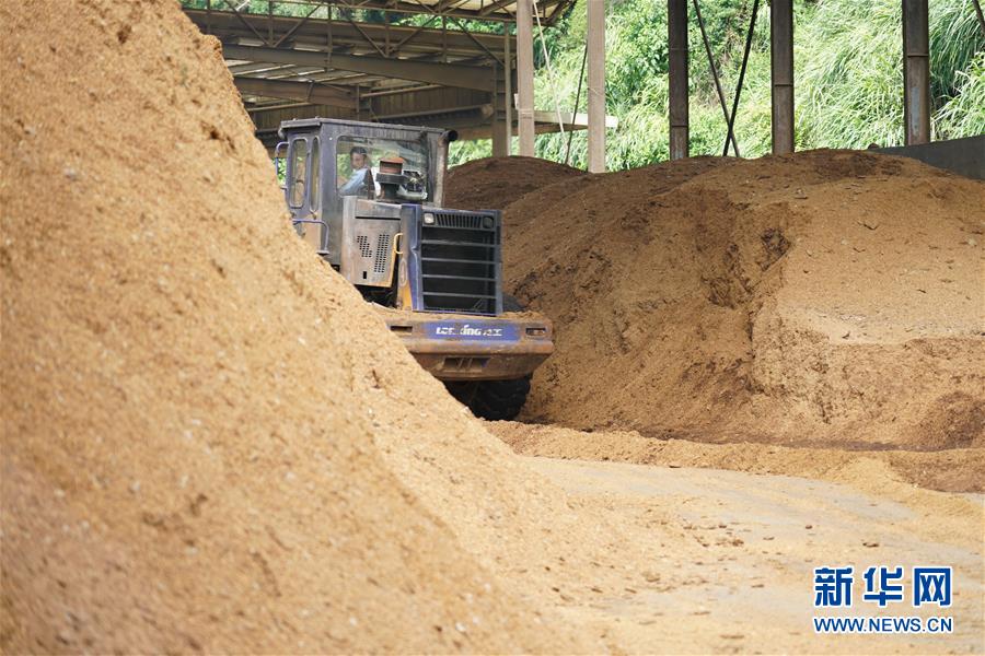 （在習(xí)近平新時(shí)代中國(guó)特色社會(huì)主義思想指引下&mdash;&mdash;新時(shí)代新作為新篇章&middot;總書記關(guān)心的百姓身邊事&middot;圖文互動(dòng)）（4）大污染變身&ldquo;大寶藏&rdquo;：治理畜禽糞污，他們這樣干！